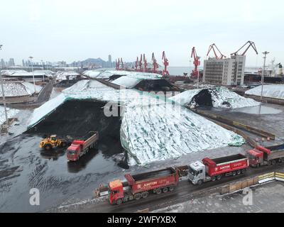 LIANYUNGANG, CHINE - 2 FÉVRIER 2024 - des véhicules de transport transfèrent du charbon électrique déchargé par des cargos au terminal de charbon de Lianyungang, East CH Banque D'Images