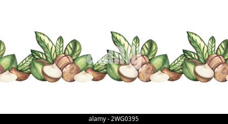 Motif aquarelle sans couture de noix de macadamia avec des feuilles vertes. Le cadre est fait d'écrous mûrs. Motif sans couture. Modèle pour cartes postales, étiquettes, pac Banque D'Images