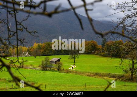 Champ vert dans la vallée avec chemin de terre, derrière elle forêt, montagnes et nuages Banque D'Images