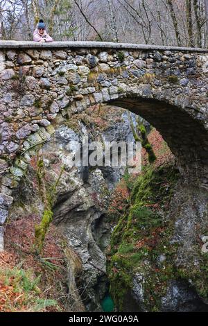 Le pont de Devi sur la rivière Mostnica, qui traverse le village de Stara Fuzina et se jette dans le lac Bohinj Banque D'Images