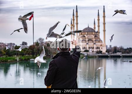 Adana, Turkiye - 25 janvier 2024 : homme nourrissant des mouettes avec des morceaux de pain sur l'historique Taskopru, le pont de pierre à Adana, Turkiye. Banque D'Images