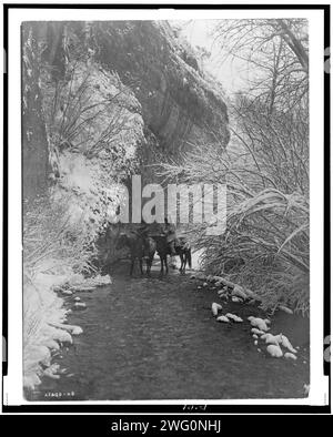 Approche de l'hiver-Apsaroke, c1908. Deux Indiens Crow à cheval dans un ruisseau peu profond flanqué d'arbres enneigés, sous une falaise rocheuse. Banque D'Images