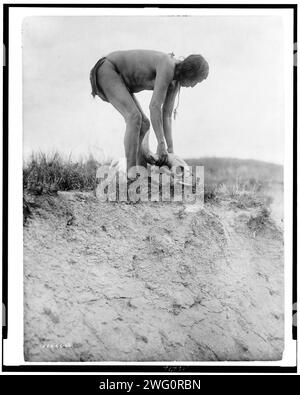 Hu ka-lowa Pifire-Carrier apportant le crâne, c1908. Homme en blouse, se penchant sur le crâne de buffle. Banque D'Images