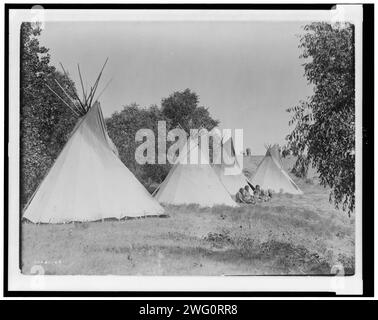 Vie de camp, c1908. Quatre tipis recouverts de toile, Assiniboine femmes et enfants assis au sol, Dakota du Sud. Banque D'Images