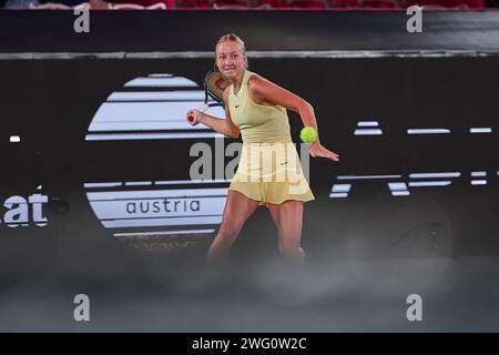 Linz, haute-Autriche, Autriche. 1 février 2024. Anastasia Potapova en action lors de la haute-Autriche Ladies Linz - Womens tennis, WTA500 (crédit image : © Mathias Schulz/ZUMA Press Wire) USAGE ÉDITORIAL SEULEMENT! Non destiné à UN USAGE commercial ! Banque D'Images