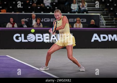 Linz, haute-Autriche, Autriche. 1 février 2024. Anastasia Potapova en action lors de la haute-Autriche Ladies Linz - Womens tennis, WTA500 (crédit image : © Mathias Schulz/ZUMA Press Wire) USAGE ÉDITORIAL SEULEMENT! Non destiné à UN USAGE commercial ! Banque D'Images