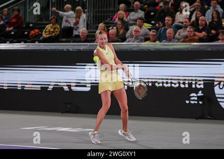 Linz, haute-Autriche, Autriche. 1 février 2024. Anastasia Potapova en action lors de la haute-Autriche Ladies Linz - Womens tennis, WTA500 (crédit image : © Mathias Schulz/ZUMA Press Wire) USAGE ÉDITORIAL SEULEMENT! Non destiné à UN USAGE commercial ! Banque D'Images