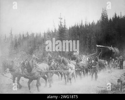 Equipe de chevaux sur l'Overland Trail, entre c1900 et 1927. Banque D'Images