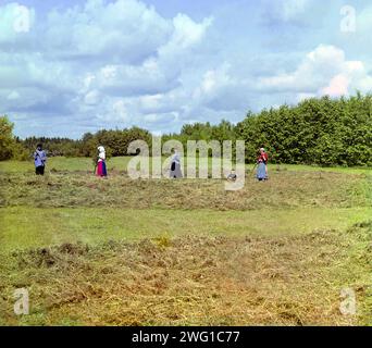 Haying [Empire russe], 1909. Ouvriers agricoles fenaison. Banque D'Images