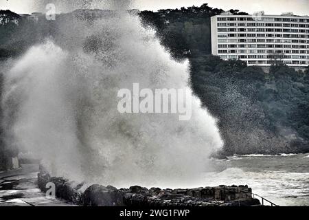 D'énormes vagues s'écrasent et pulvérisent sur la digue et inondent la route Meadfoot Sea à Torquay pendant une tempête hivernale. Banque D'Images