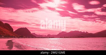 Fjord au coucher du soleil. Plage rocheuse en soirée. Plage avec sable blanc. Belle nature Norvège. Îles Lofoten. Virage magenta Viva. Bannière horizontale Banque D'Images