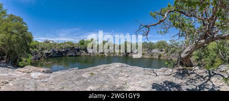 Lac Otjikoto près de Tsumeb, Namibie Banque D'Images