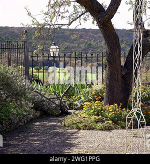 Patio de maison de ville avec vue sur le mont, une clôture le délimite, et des lis, immortelles, soucis, romarin en fleur et un amandier, poussent dessus. Banque D'Images