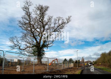 Maidenhead, Royaume-Uni. 2 février 2024. Après avoir abattu un arbre Woodland Trust de l'année en 2021 à Hackney, Londres, les constructeurs Berkeley Homes sont à nouveau sous les projecteurs. Les habitants vivant près de Spring Hill à Maidenhead, dans le Berkshire, sont furieux que Berkeley Homes ait détruit de nombreux arbres sur et autour d'un site où 199 nouvelles maisons doivent être construites. Ceci malgré le fait que les résidents auraient reçu des assurances de Berkeley Homes que les arbres resteraient. Les chirurgiens des arbres du bois de coeur étaient sur place aujourd'hui pour défricher le reste des arbres abattus. Très peu d'arbres restent maintenant au s. Banque D'Images