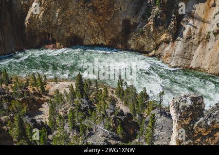 La rivière Yellowstone qui traverse le Grand Canyon dans le parc national de Yellowstone Banque D'Images