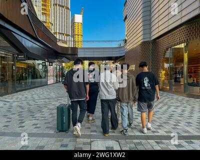 Shanghai, Chine, petites personnes de foule, adolescents chinois, marcher loin, 'Tai Koo Li', centre commercial, Architecture moderne, banlieue, vue générale Banque D'Images