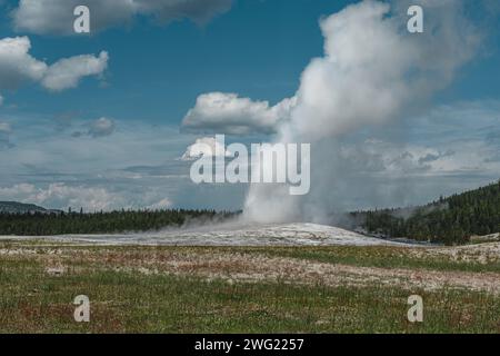 Old Faithful Geyser en éruption pendant la journée dans le parc national de Yellowstone Banque D'Images