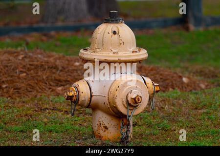 Bouche d'incendie en fer jaune américaine sur une pelouse dans un parc. Aucune personne visible. Banque D'Images