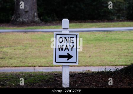 Panneau de signalisation américain à sens unique. Signe blanc sur un poteau blanc avec fond de rue et de parc Banque D'Images