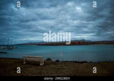 La falaise près de l'océan Atlantique avec des palmiers et des cactus à Caleta de Fuste Fuerteventura Espagne Banque D'Images