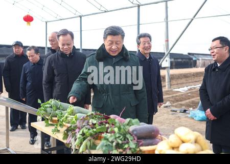 (240202) -- TIANJIN, 2 février 2024 (Xinhua) -- le président chinois Xi Jinping, également secrétaire général du comité central du Parti communiste chinois et président de la commission militaire centrale, en savoir plus sur la reprise des activités agricoles après les inondations de l'an dernier lors d'une visite dans un village de la ville de Xinkou, dans le district de Xiqing, dans la municipalité de Tianjin, au nord de la Chine, le 1 février 2024. Xi a rendu visite aux habitants de la ville de Tianjin, dans le nord du pays, avant la fête du printemps et a effectué une tournée d’inspection à Tianjin du jeudi au vendredi. (Xinhua/Ju Peng) Banque D'Images