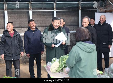 (240202) -- TIANJIN, 2 février 2024 (Xinhua) -- le président chinois Xi Jinping, également secrétaire général du comité central du Parti communiste chinois et président de la commission militaire centrale, entretien avec un agriculteur dans une serre lorsqu'il apprend la reprise des activités agricoles après les inondations de l'an dernier dans un village de la ville de Xinkou, dans le district de Xiqing, dans la municipalité de Tianjin, dans le nord de la Chine, le 1 février 2024. Xi a rendu visite aux habitants de la ville de Tianjin, dans le nord du pays, avant la fête du printemps et a effectué une tournée d’inspection à Tianjin du jeudi au vendredi. (Xinhua/Ju Peng) Banque D'Images