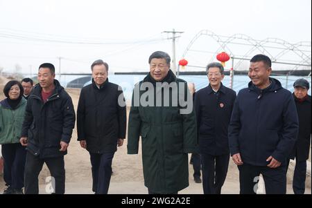 (240202) -- TIANJIN, 2 février 2024 (Xinhua) -- le président chinois Xi Jinping, également secrétaire général du comité central du Parti communiste chinois et président de la commission militaire centrale, en savoir plus sur la reprise des activités agricoles après les inondations de l'an dernier lors d'une visite dans un village de la ville de Xinkou, dans le district de Xiqing, dans la municipalité de Tianjin, au nord de la Chine, le 1 février 2024. Xi a rendu visite aux habitants de la ville de Tianjin, dans le nord du pays, avant la fête du printemps et a effectué une tournée d’inspection à Tianjin du jeudi au vendredi. (Xinhua/Ju Peng) Banque D'Images