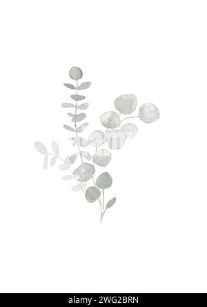 Bouquet d'eucalyptus aquarelle gris et vert poussiéreux. Illustration botanique de printemps et d'hiver pour mariage, carte de voeux, couronne, site Web. Botanique fo Banque D'Images