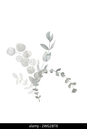 Bouquet d'eucalyptus aquarelle gris et vert poussiéreux. Illustration botanique de printemps et d'hiver pour mariage, carte de voeux, couronne, site Web. Botanique fo Banque D'Images