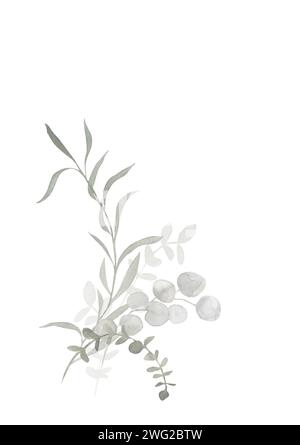 Bouquet d'eucalyptus aquarelle gris et vert poussiéreux. Illustration botanique de printemps et d'hiver pour mariage, carte de voeux, couronne, site Web. Botanique fo Banque D'Images