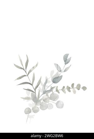 Bouquet d'eucalyptus aquarelle gris et vert poussiéreux. Illustration botanique de printemps et d'hiver pour mariage, carte de voeux, couronne, site Web. Botanique fo Banque D'Images