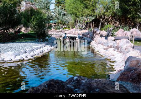 Vue naturelle au parc Al Areen, Bahreïn Banque D'Images