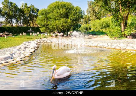 Vue naturelle au parc Al Areen, Bahreïn Banque D'Images