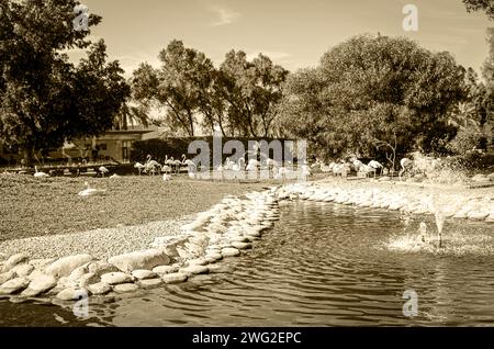 Vue naturelle au parc Al Areen, Bahreïn Banque D'Images