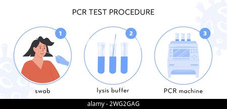 Infographie de la procédure de test Covid-19. Un médecin ou une infirmière dans des gants en latex prend le test de prélèvement nasal. Femme faisant des tests de coronavirus. Permuter l'échantillon dans le bu de lyse Illustration de Vecteur