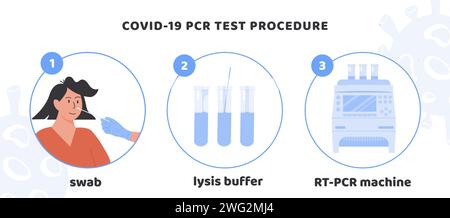 Infographie de la procédure de test Covid-19. Un médecin ou une infirmière dans des gants en latex prend le test de prélèvement nasal. Femme faisant des tests de coronavirus. Permuter l'échantillon dans le bu de lyse Illustration de Vecteur