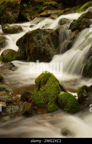 Blue Canyon Creek, Hellgate-Galice Byway, Rogue l'arrière-pays National Wild and Scenic River, Oregon Banque D'Images