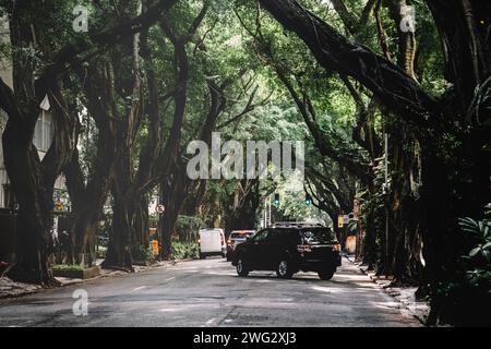 Rue prudente de Morais bordée d'arbres à Ipanema, Rio de Janeiro, Brésil Banque D'Images