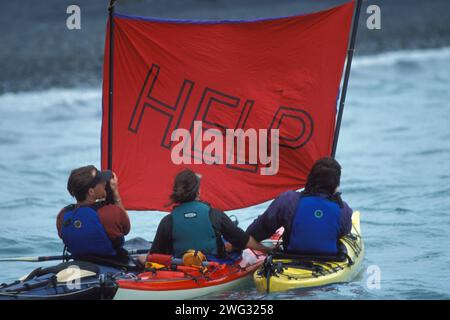 Les kayakistes apprennent les techniques de sécurité à Resurrection Bay, Miller's Landing, Seward, centre-sud de l'Alaska Banque D'Images