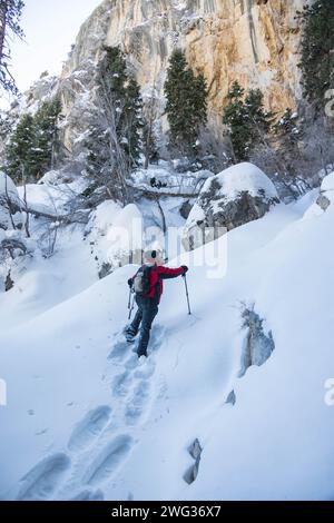 Homme en raquette dans la zone de loisirs de Mount Charleston, Nevada Banque D'Images