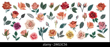 Ensemble de roses dessinées à la main et des éléments de conception de feuilles Illustration de Vecteur