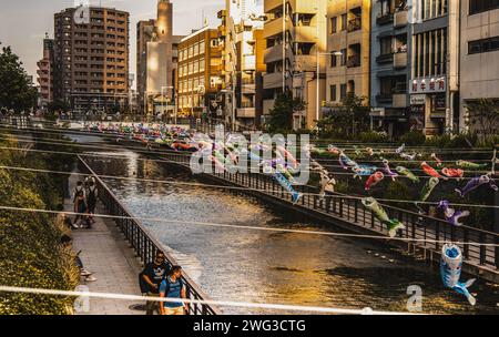 Tokyo, Japan.2023 : le long de la célèbre rivière Sumida, des banderoles de carpe colorées, symbole traditionnel japonais de la fête des garçons, dansent dans le ciel Banque D'Images