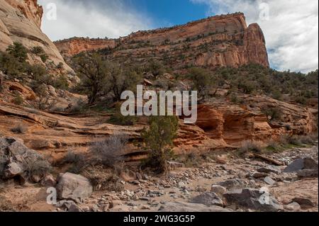 Juste à l'intérieur de l'embouchure du Devil's Canyon, près de Fruita, Colorado Banque D'Images