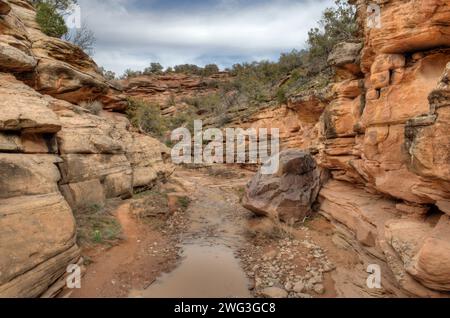 Le désert se lave près de l'embouchure du Devil's Canyon, près de Fruita, Colorado Banque D'Images