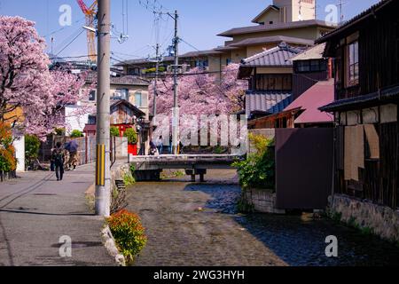 Shirakawa Lane, Kyoto, Japon Banque D'Images