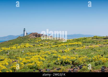 Paysage dans le parc national des îles Anglo-Normandes, île d'Anacapa, Californie, États-Unis Banque D'Images