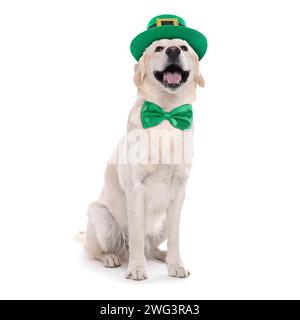 Prog Célébration de la fête de Patrick. Chien mignon Golden Retriever avec chapeau leprechaun et noeud papillon isolé sur blanc Banque D'Images