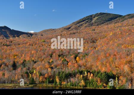 Parc national d'Orford SEPAQ, étang aux cerises pendant la saison d'automne, couleurs d'automne, mont Orford Banque D'Images