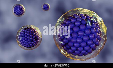 le rendu 3d des cellules est entouré par une membrane plasmique, qui est une barrière mince et flexible qui sépare la cellule de son environnement. Banque D'Images