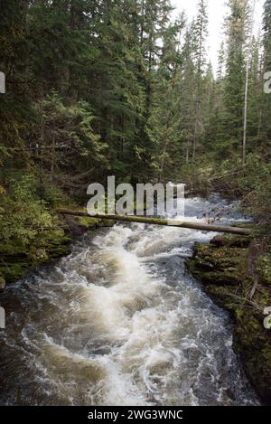 Le parc provincial Wells Gray est un grand parc sauvage situé à l'est du district régional de Cariboo en Colombie-Britannique au Canada. Banque D'Images